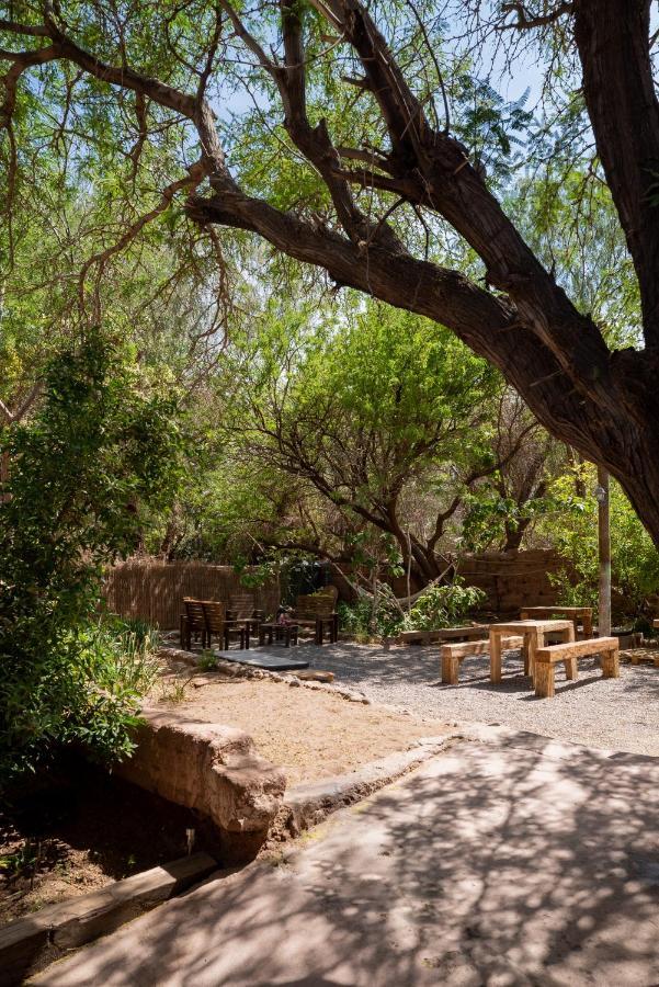 Vientos - La Yareta Guest House San Pedro de Atacama Ngoại thất bức ảnh